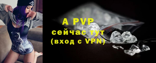 стафф Баксан