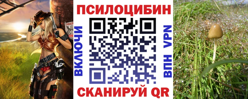 Псилоцибиновые грибы ЛСД  blacksprut ТОР  Лесозаводск 